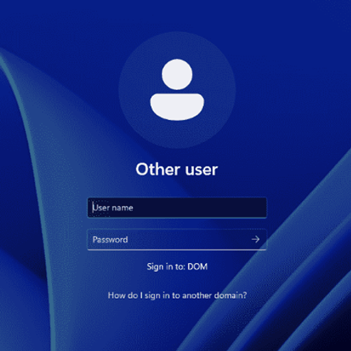 Windows Logon Activity